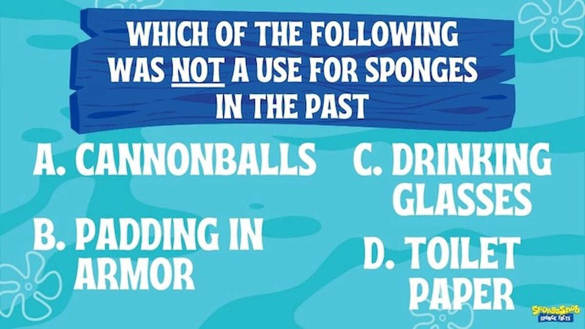 SpongeSnob Sponge Facts image number null